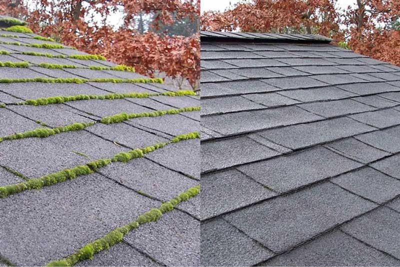 Roof cleaning and Treatment 
